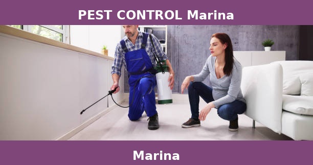 PEST CONTROL Marina